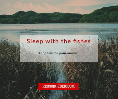  Sleep with the fishes 